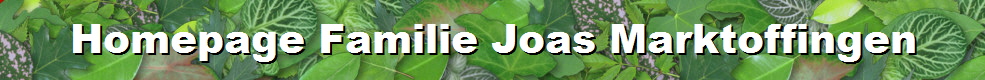 Kurzhaarteckelzucht Joas